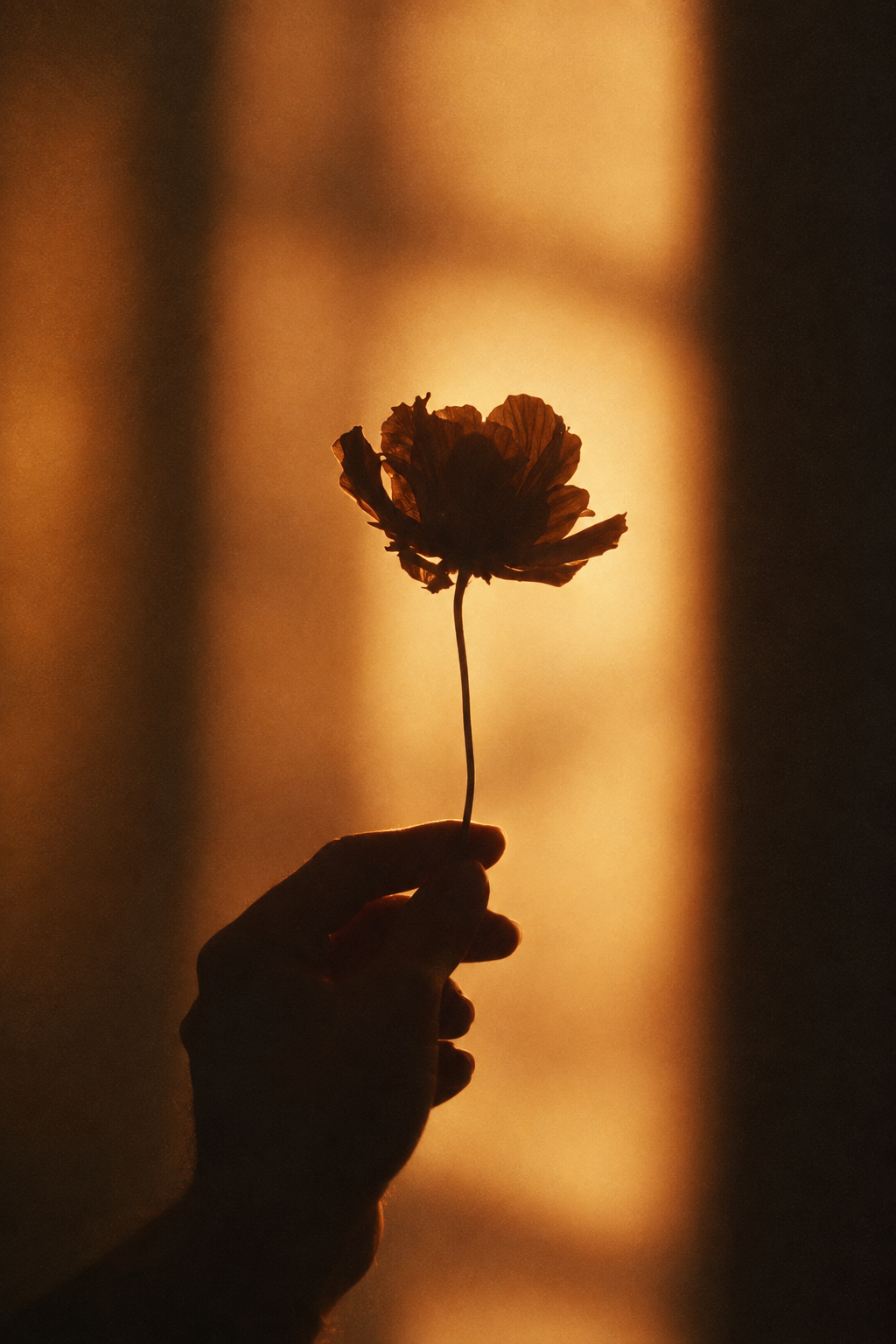 Silhouette einer Blume in der Hand im Gegenlicht